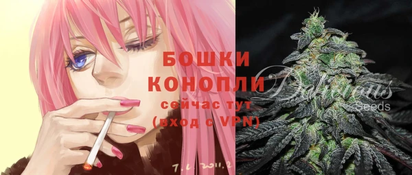 шишки Няндома