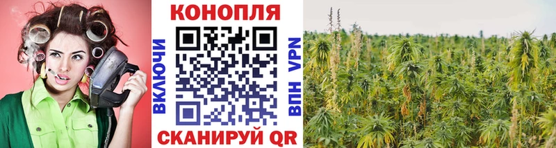 МАРИХУАНА Amnesia  Орлов 